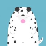 Cute Big Fat Dalmatian Dog Stock Photo