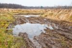 Broken Dirt Road In The Field Stock Photo