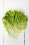 Fresh Lettuce Leaf Isolated On White Stock Photo