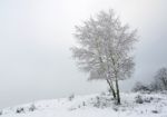 Winter Landscape Stock Photo