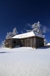 Snowy tree and house Stock Photo