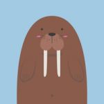 Cute Big Fat Walrus Stock Photo