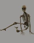 Skeleton Sitting On Floor Stock Photo