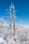 Deogyusan In Winter,korea Stock Photo