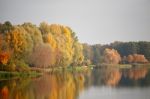 Autumn October Colorful Park. Foliage Trees Alley Stock Photo