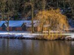 Durham, County Durham/uk - January 19 : Weeping Willow On The Ba Stock Photo