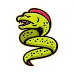 Moray Eel Sports Mascot Stock Photo