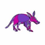 Aardvark Mosaic Stock Photo