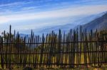 Bamboo Fence In Rural Field With Beautiful Natural Mountain Land Scape Wide Angle View Point Stock Photo