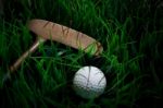 Golf Ball On Green Grass And Putter Stock Photo