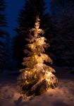 Christmastree Stock Photo