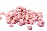 Borlotti Beans Stock Photo