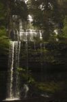 Russell Falls In Mount Field National Park Stock Photo