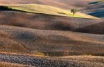 Tuscany Stock Photo