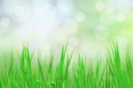  Abstract Grass Stock Photo