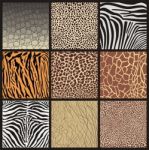 Camouflage Of African Animals Stock Photo