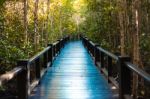 Walkway Bridge In Mangrove Pranburi, Prachuap Khiri Khan Province, Thailand Stock Photo