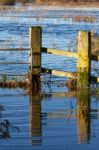 Flooded Land Near Ely Stock Photo