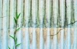 Old Roof Texture With Grass Stock Photo