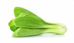 Bok Choy Vegetable Isolated On The White Background Stock Photo