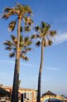 Calahonda, Andalucia/spain - May 8 : Evening Sunshine At Dona Lo Stock Photo