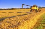 Harvesting Combine In The Field Stock Photo