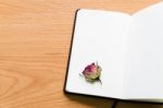 Open Notebook With Dry Rose On Wooden Table With Copy Space Stock Photo