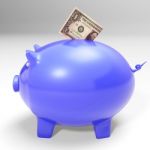 Dollar Entering Piggybank Showing American Savings Stock Photo