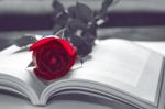 Open Book And A Red Rose. Vintage Tone Stock Photo