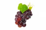 Grapes Isolated On White Background Stock Photo