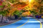 Naejangsan National Park In Autumn,south Korea Stock Photo