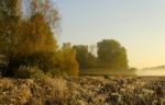 Autumn Landscape Stock Photo