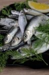 Salted Sprats Stock Photo