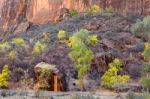 Trees And Boulders In Zion National Park Stock Photo