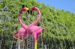 Fountain With A Couple Of Lovely Flamingos Stock Photo