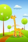 Giraffe Stock Photo