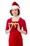 Attractive Woman Posing With Xmas Gift Stock Photo