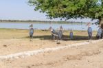 The Marabou Storks At Lake Koka In Ethiopia Stock Photo