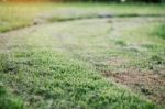 Lawn Is Cut With Sun Shining Stock Photo