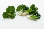 Baby Pak Choi On White Background Stock Photo