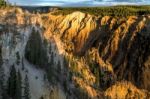 Grand Canyon Of Yellowstone Stock Photo