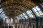 Ceiling Detail Of The Natural History Museum In London Stock Photo