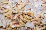 Fresh Shrimps On Ice Exposition At The Seafood Market In Thailan Stock Photo