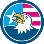 American Bald Eagle Head Flag Side Cartoon Stock Photo