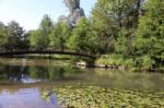 A River And Bridge Stock Photo