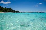 Similan Island Stock Photo