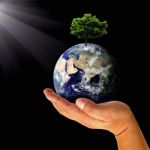 Earth With Tree In Hand Stock Photo