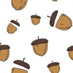 Acorn Seamless Pattern By Hand Drawing On White Backgrounds Stock Photo