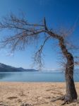 Landscape Of Lake Tahoe Stock Photo