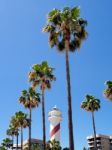 Marbella, Andalucia/spain - May 4 : View Of The Lighthouse In Ma Stock Photo